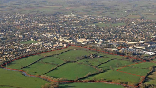 Screenshot 2024 05 08 160939 png gallery