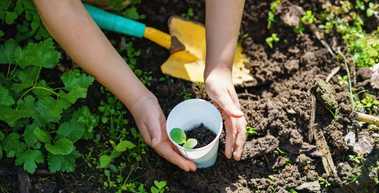 Harrington image 2 1 scaled