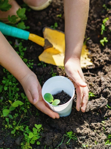 Harrington image 2 1 scaled