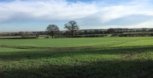 Browns Lane 2