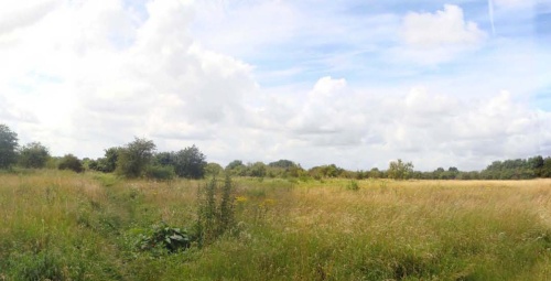 Cowans 2