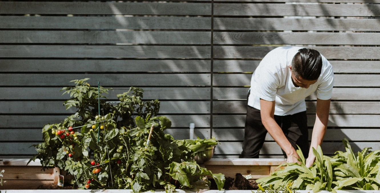 Man gardening