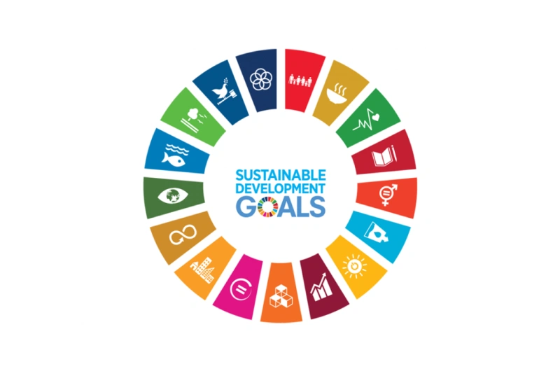 SDG Logo