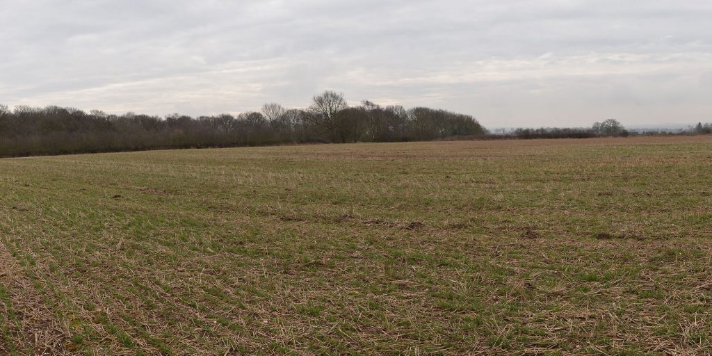 Wood End Summix Summix